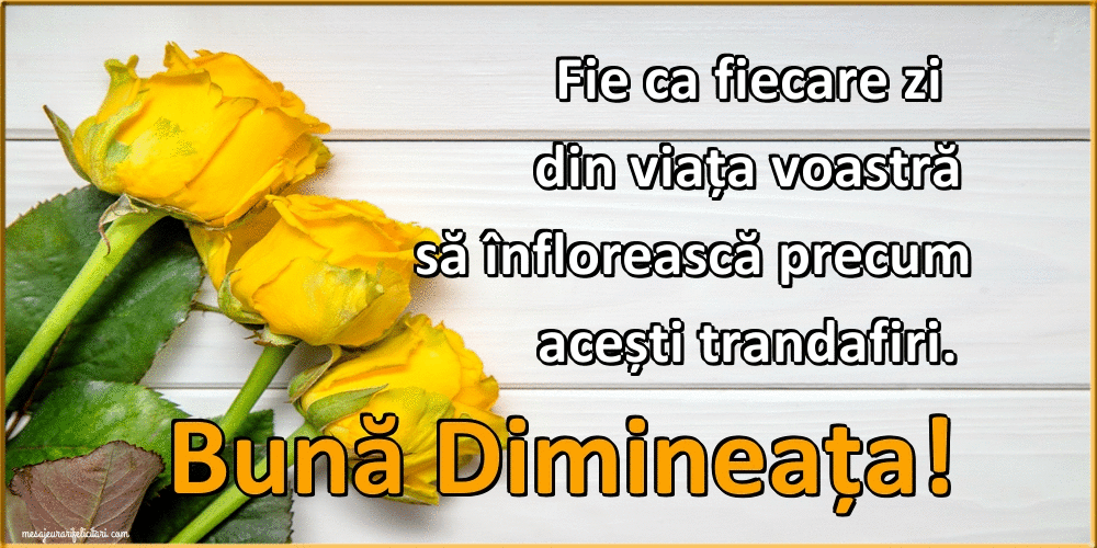 Felicitari animate de buna dimineata - Fie ca fiecare zi din viața voastră să înflorească precum acești trandafiri. Bună Dimineața!