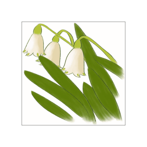 Ghiocei 3D - GIF animat cu flori - mesajeurarifelicitari.com