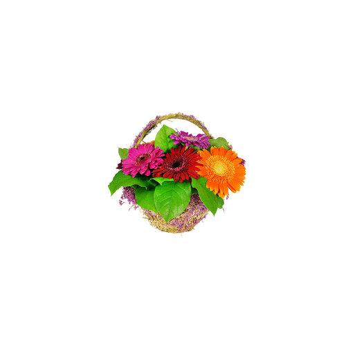 Ghiveci cu flori - GIF animat cu flori - mesajeurarifelicitari.com