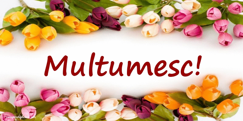 Cele mai apreciate felicitari animate de multumire - Multumesc!