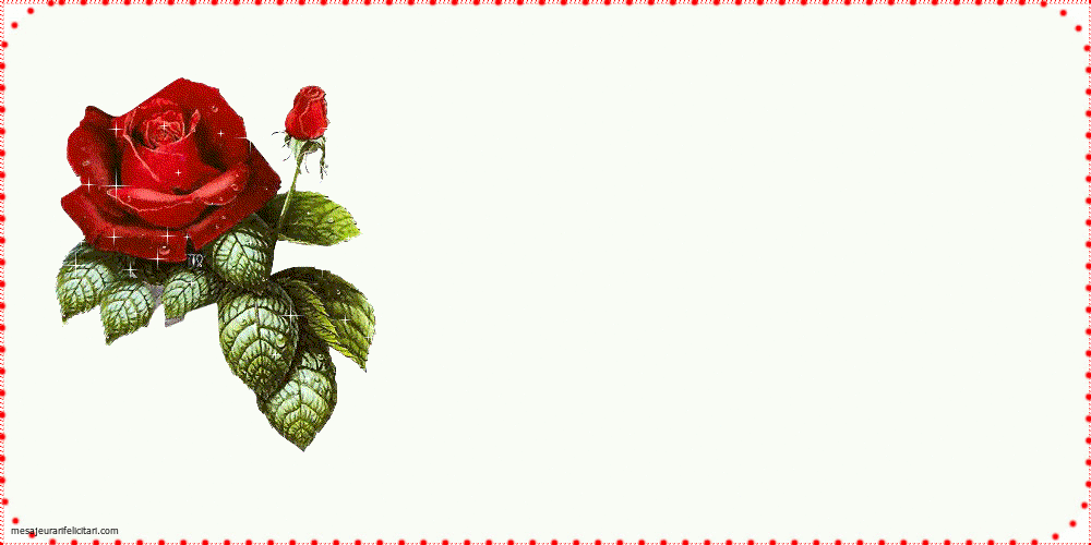 Cele mai apreciate felicitari animate de multumire - Multumesc tuturor