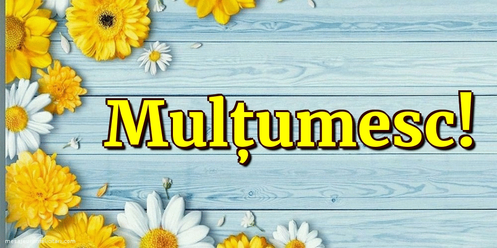 Multumire - Multumesc!