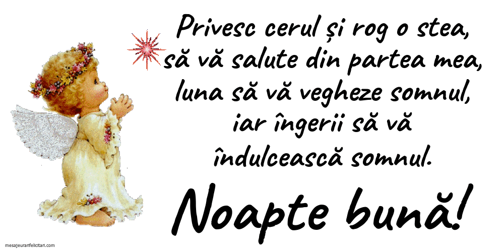 Noapte buna - Noapte bună!