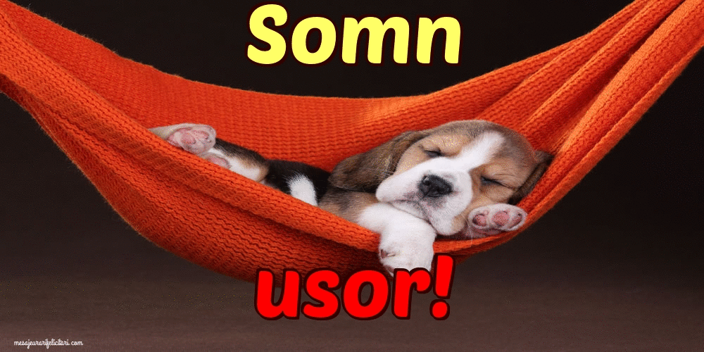 Felicitari animate de noapte buna - Somn usor!