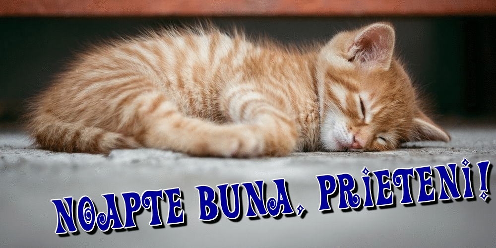 Cele mai apreciate felicitari animate de noapte buna - Noapte buna, prieteni!