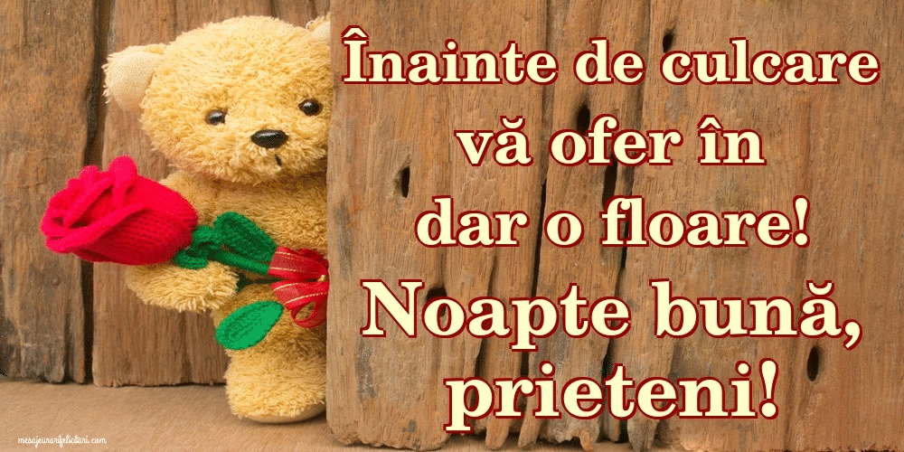 Cele mai apreciate felicitari animate de noapte buna - Înainte de culcare vă ofer în dar o floare! Noapte bună, prieteni!