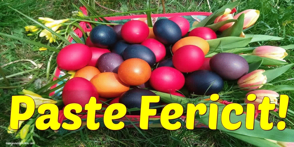 Felicitari animate de Paste - Paste Fericit!