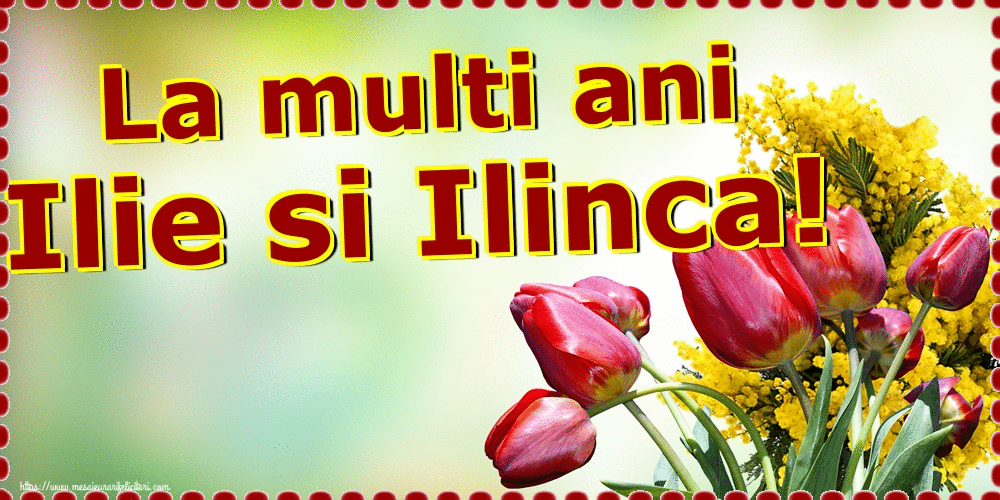 Sfantul Ilie - La multi ani Ilie si Ilinca!