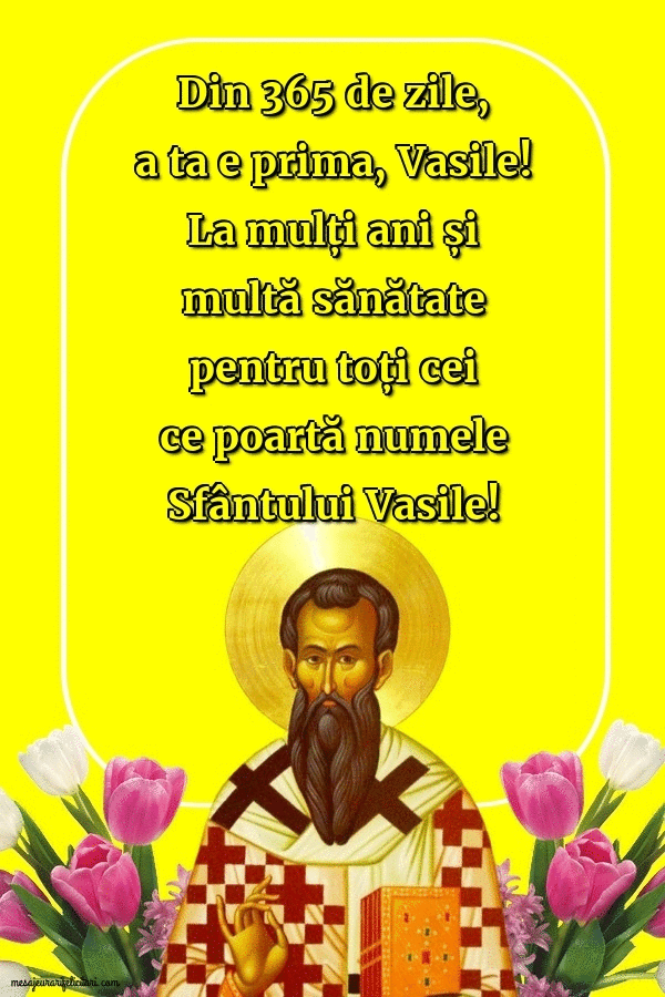 Cele mai apreciate felicitari animate de Sfantul Vasile - La mulți ani, Vasile!
