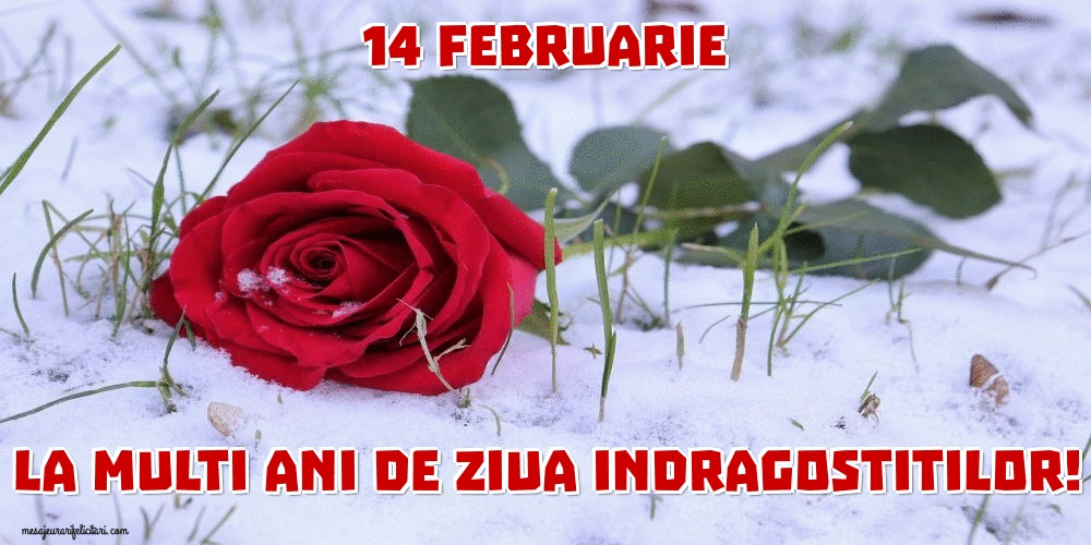 Cele mai apreciate felicitari animate Ziua indragostitilor - 14 Februarie La multi ani de Ziua Indragostitilor!