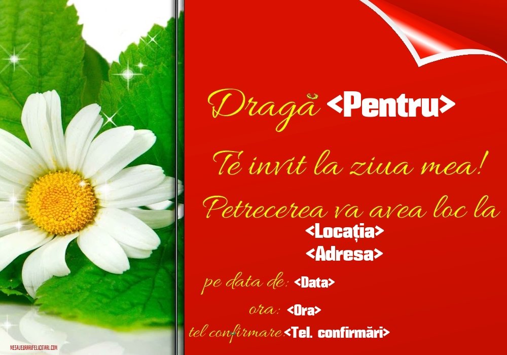 Te invit la ziua mea! Model clasic cu o floare - Invitații la Ziua de nastere personalizate