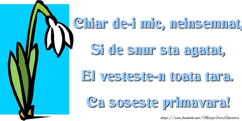 Mesaje de 1 Martie - Soseste primavara - mesajeurarifelicitari.com