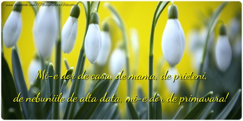 Mesaje de 1 Martie - Mi-e dor de primavara! - mesajeurarifelicitari.com