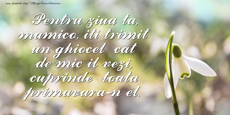 Mesaje de 8 Martie - Pentru ziua ta, mamico - mesajeurarifelicitari.com