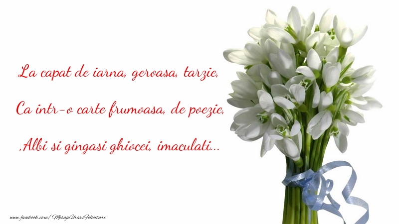 Mesaje de 8 Martie - ESTI FIINTA CEA MAI IUBITA DIN LUMEA INTREAGA! - mesajeurarifelicitari.com