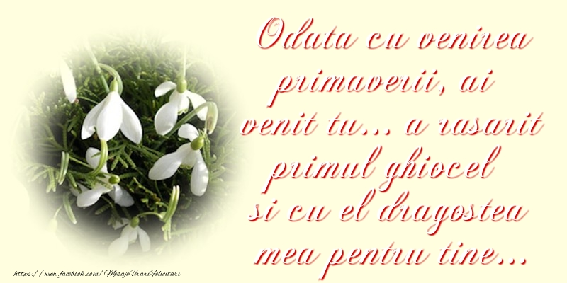 Mesaje de 8 Martie - Tu esti primavara sufletului meu - mesajeurarifelicitari.com