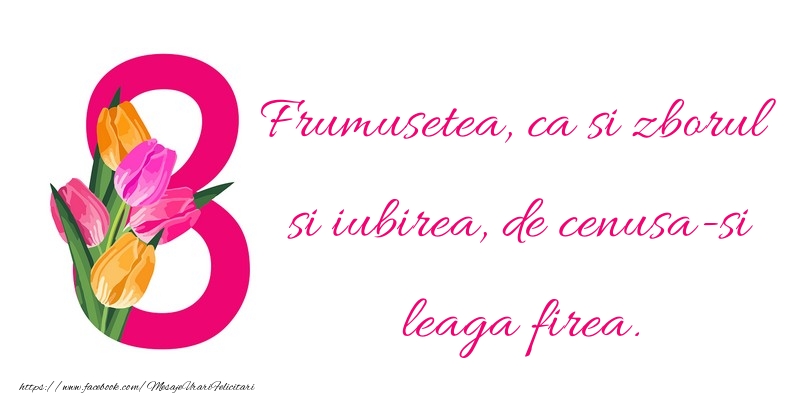 Mesaje de 8 Martie - Niciodata nu voi sterge praful dragostei de pe aripile tale - mesajeurarifelicitari.com