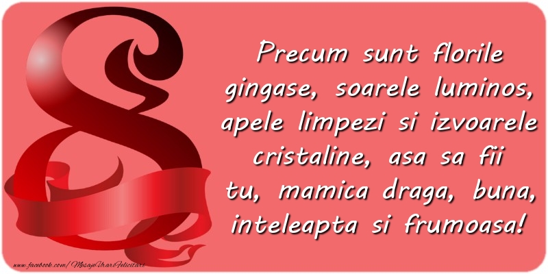 Mesaje de 8 Martie - Precum sunt florile gingase asa sa fii tu, mamica draga! - mesajeurarifelicitari.com