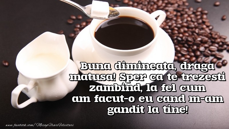 Mesaje de buna dimineata pentru Matusa - Buna dimineata, draga matusa! Sper ca te trezesti zambind - mesajeurarifelicitari.com