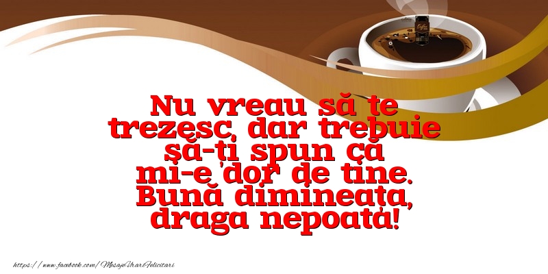 Mesaje de buna dimineata pentru Nepoata - Nu vreau să te trezesc, dar trebuie să-ți spun că mi-e dor de tine. Bună dimineața, draga nepoata! - mesajeurarifelicitari.com