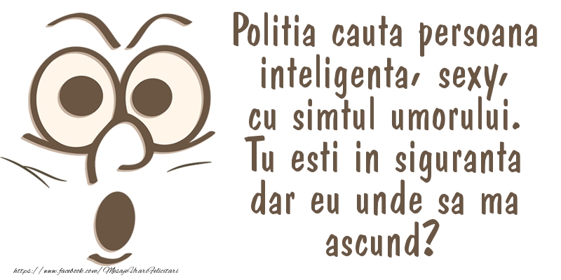 Mesaje Haioase - Politia cauta persoana inteligenta, sexy, cu simtul umorului - mesajeurarifelicitari.com