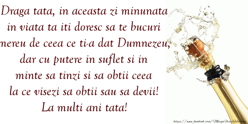 Mesaj De La Mul?i Ani Pentru Tata Mesaj De La Mul?i Ani Pentru Tata