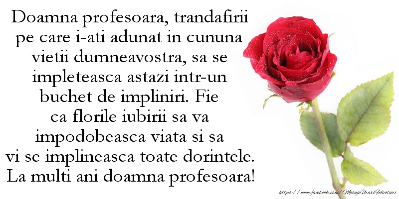 Mesaje de la multi ani pentru Profesoara - Doamna profesoara, fie ca florile iubirii sa va impodobeasca viata si sa vi se implineasca toate dorintele - mesajeurarifelicitari.com