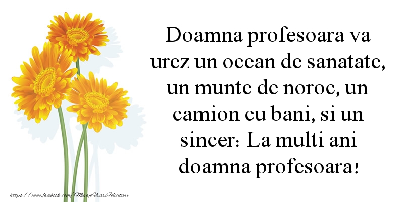 Mesaje de la multi ani pentru Profesoara - Doamna profesoara va urez un ocean de sanatate - mesajeurarifelicitari.com