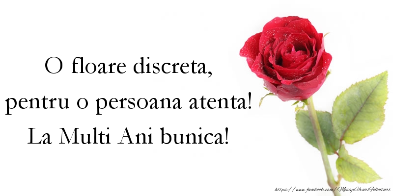 Mesaje de la multi ani pentru Bunica - O floare discreta ... La Multi Ani bunica! - mesajeurarifelicitari.com