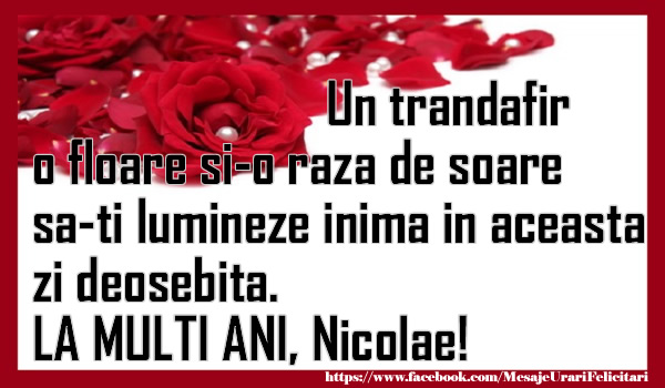 Multi ani Nicolae!!!