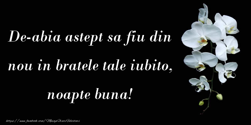 Mesaje de noapte buna - De-abia astept sa fiu din nou in bratele tale iubito - mesajeurarifelicitari.com