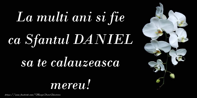 Mesaje de Sfantul Daniel - La multi ani si fie ca Sfantul DANIEL sa te calauzeasca mereu! - mesajeurarifelicitari.com