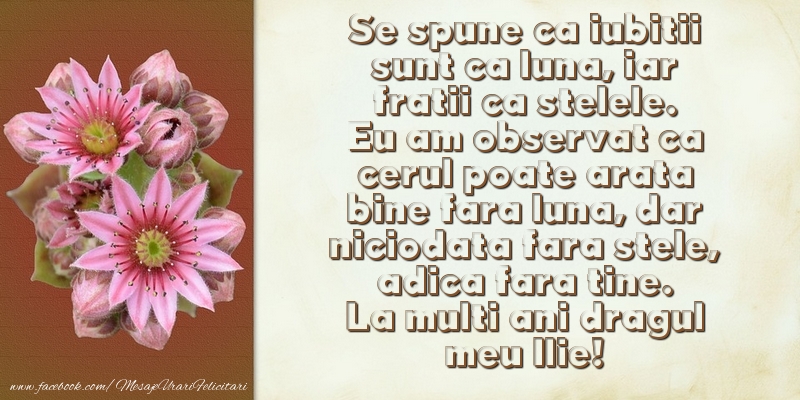 Mesaje de Sfantul Ilie - La multi ani dragul meu Ilie! - mesajeurarifelicitari.com