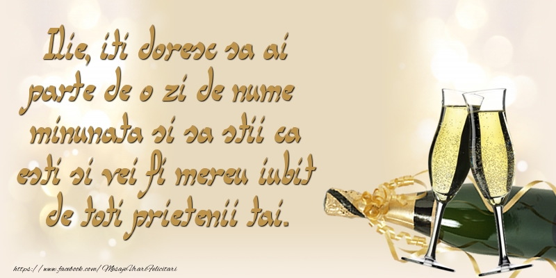 Mesaje de Sfantul Ilie - Ilie, iti doresc sa ai parte de o zi de nume minunata - mesajeurarifelicitari.com