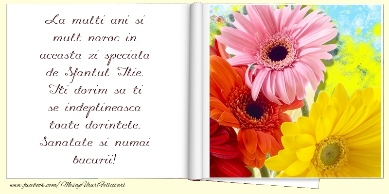 Mesaje de Sfantul Ilie - La multi ani si mult noroc in aceasta zi speciala de Sfantul Ilie - mesajeurarifelicitari.com