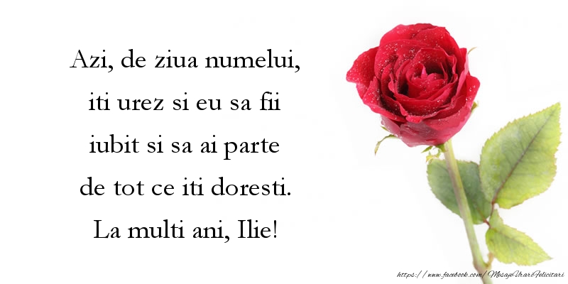 Mesaje de Sfantul Ilie - La multi ani, Ilie! - mesajeurarifelicitari.com
