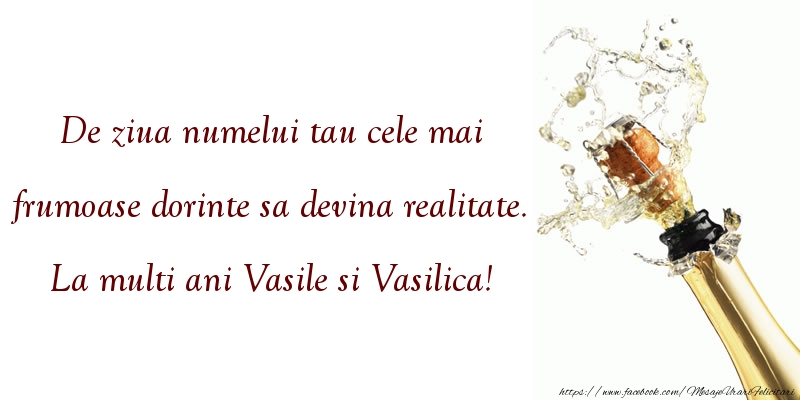 La multi ani Vasile si Vasilica!