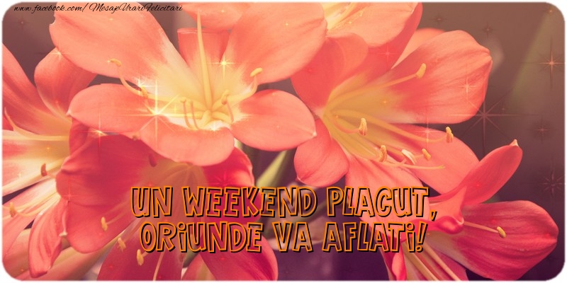 Mesaje de Weekend - Un weekend placut, oriunde va aflati! - mesajeurarifelicitari.com