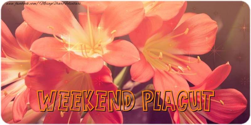 Mesaje de Weekend - Weekend placut - mesajeurarifelicitari.com