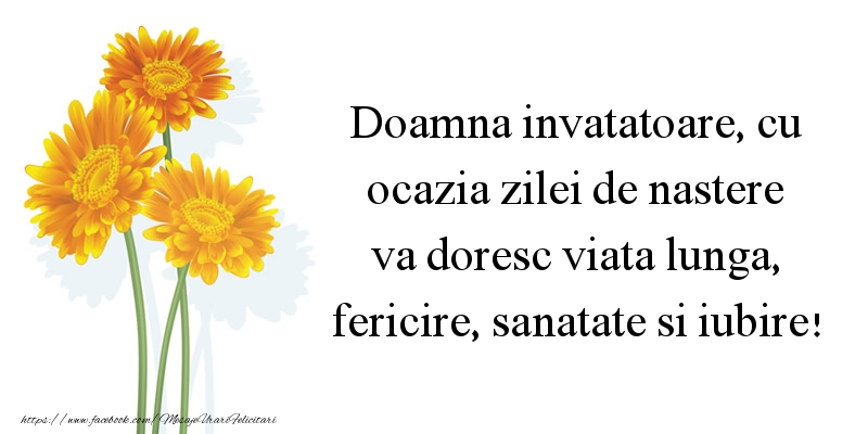 Mesaje de zi de nastere pentru Invatatoare - Doamna invatatoare, va doresc viata lunga, fericire, sanatate si iubire - mesajeurarifelicitari.com