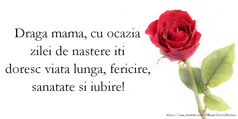 Mesaje de zi de nastere pentru Mama - Draga mama, iti doresc viata lunga, fericire, sanatate si iubire - mesajeurarifelicitari.com