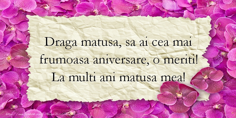 Mesaje de zi de nastere pentru Matusa - Draga matusa, sa ai cea mai frumoasa aniversare - mesajeurarifelicitari.com