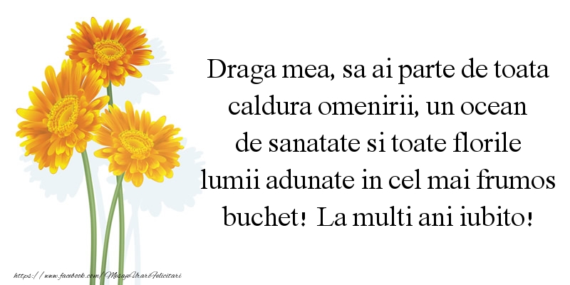 Mesaje de zi de nastere pentru Iubita - Draga mea, iti doresc un ocean de sanatate si toate florile lumii - mesajeurarifelicitari.com