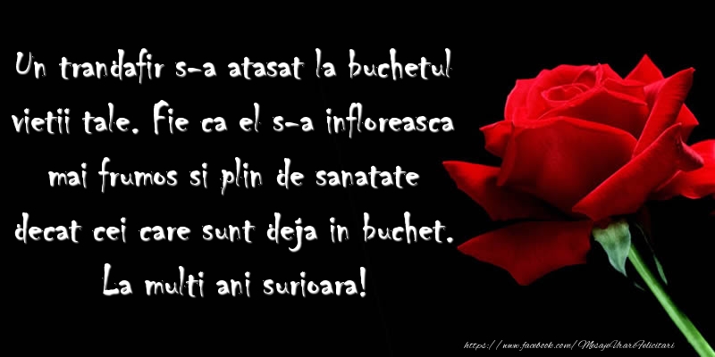 Mesaje de zi de nastere pentru Sora - Un trandafir s-a atasat la buchetul vietii tale ... La multi ani surioara! - mesajeurarifelicitari.com