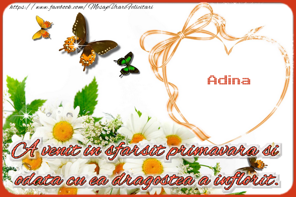 Felicitari de 1 Martie - Adina