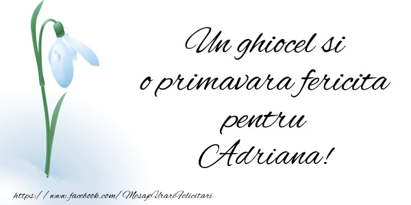 Felicitari de 1 Martie - Ghiocei | Un ghiocel si o primavara fericita pentru Adriana!