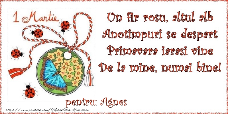 Felicitari de 1 Martie - Buburuză & Flori & Fluturi & Martisor | Un fir rosu, altul alb ... Pentru Agnes!