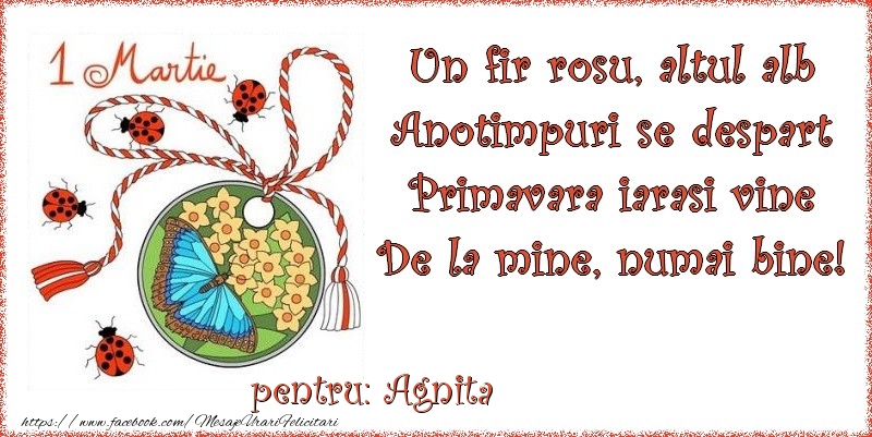 Felicitari de 1 Martie - Buburuză & Flori & Fluturi & Martisor | Un fir rosu, altul alb ... Pentru Agnita!