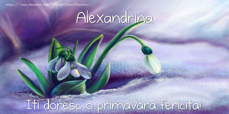 Felicitari de 1 Martie - Ghiocei | Alexandrina iti doresc o primavara fericita!