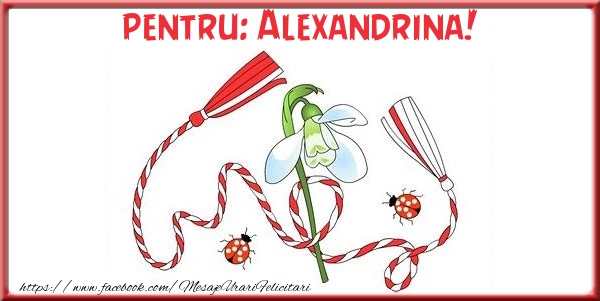 Felicitari de 1 Martie - Pentru Alexandrina!